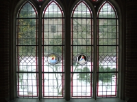 dscf0550.JPG